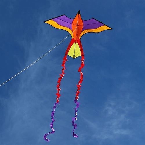 Violet Parrot - Picture Pretty KitesViolet ParrotSingle Line Kites;Single Line Kites/Animal Kites;Single Line Kites/Animal Kites/Bird Kites;Single Line Kites/Specialty Kites;Brands/Into The WindITW5694VioletPicture Pretty KitesITW5694Violet71755489Violet Parrot